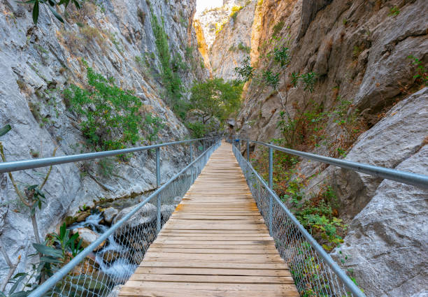 19 Mayıs Alanya -Side-Manavgat Turu