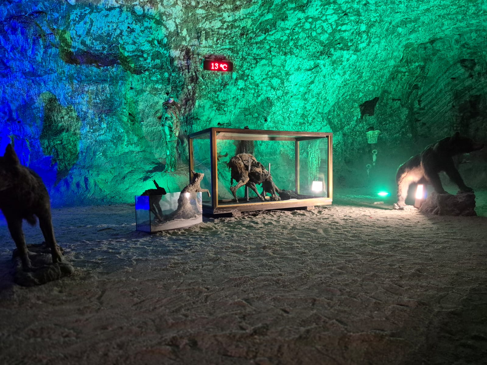 Günübirlik Turistik Tuz Ekspresi Tren Turu