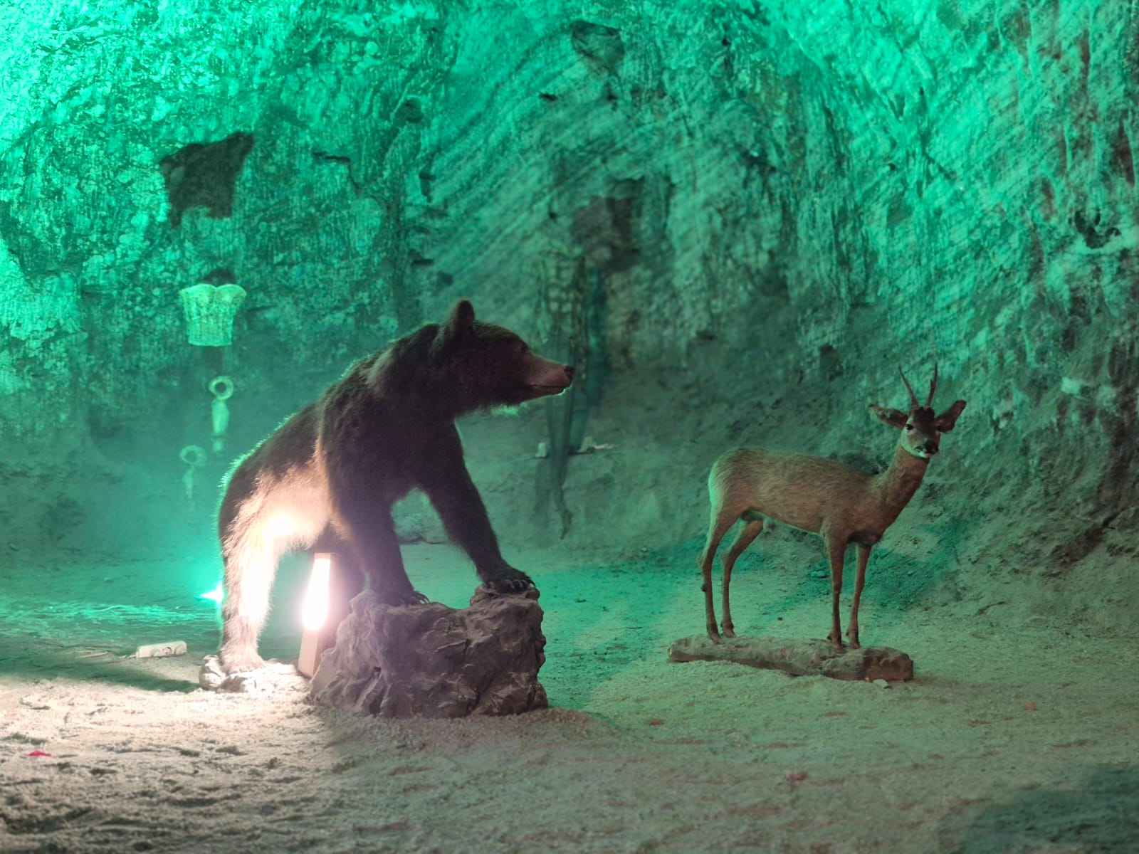 Günübirlik Turistik Tuz Ekspresi Tren Turu
