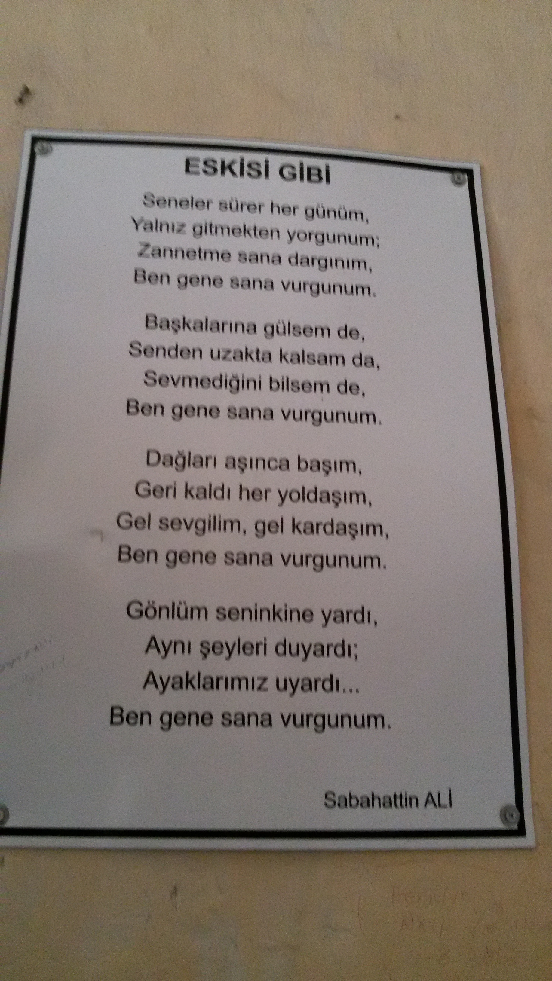 Sinop Turu   ''Dışarda deli dalgalar''